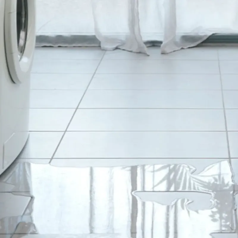 Appliance Leak Cleanup in Mount Horeb, WI