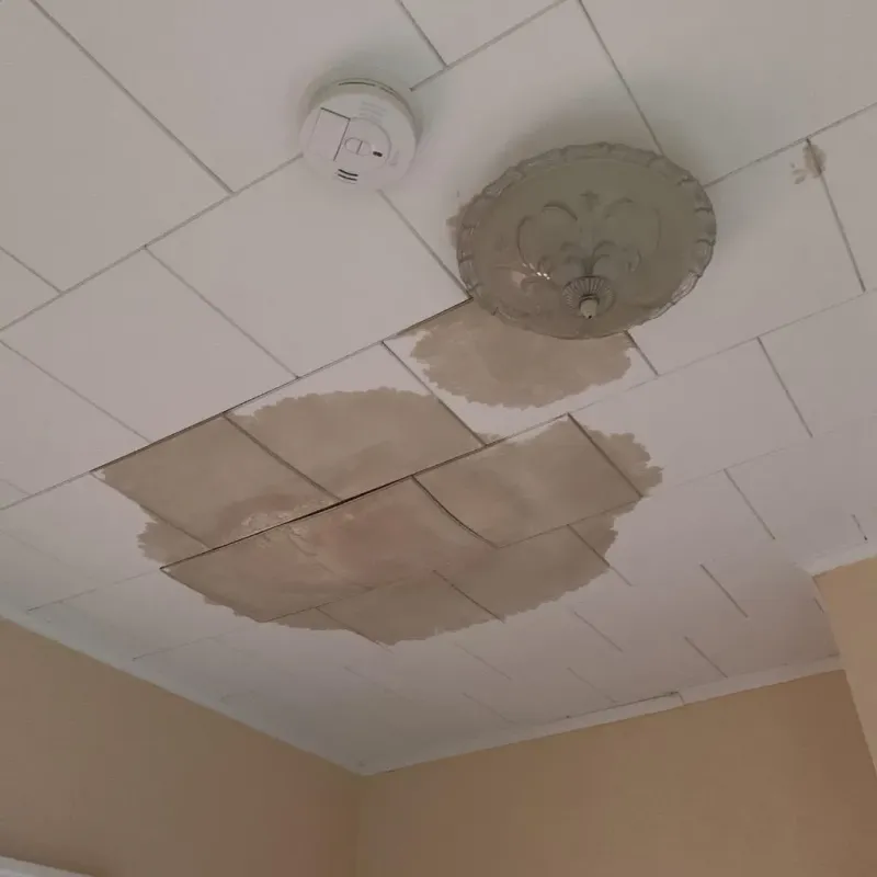 Ceiling Water Damage Repair in Mount Horeb, WI