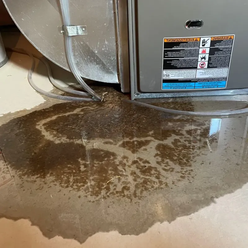 Pipe Burst and Leak Restoration in Mount Horeb, WI